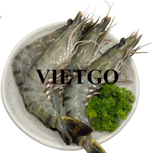 Cơ hội cung cấp tôm cho vị khách hàng đến từ Pháp