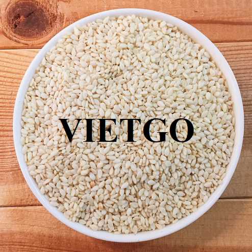 Cơ hội hợp tác xuất khẩu hạt mè đến thị trường Thổ Nhĩ Kỳ