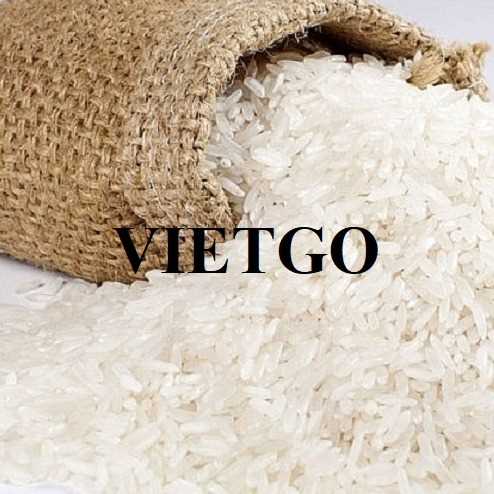  Cơ hội hợp tác xuất khẩu gạo sang thị trường Mỹ và UAE