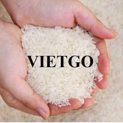 Cơ hội hợp tác xuất khẩu gạo đầy hấp dẫn đến thị trường Anh