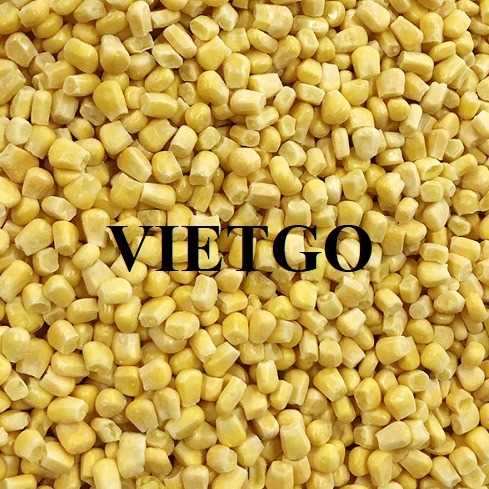 Cơ hội hợp tác xuất khẩu ngô vàng sang thị trường Colombia