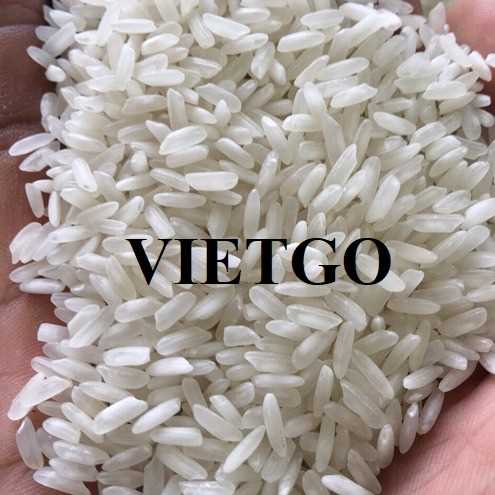 Thương vụ hợp tác xuất khẩu gạo cùng vị khách hàng người Mỹ