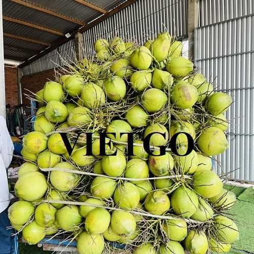 Cơ hội hợp tác xuất khẩu dừa đến thị trường Bangladesh