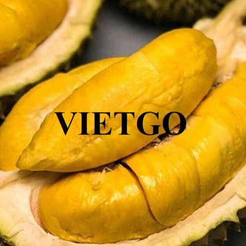 Cơ hội hợp tác xuất khẩu sầu riêng đến thị trường Ấn Độ 
