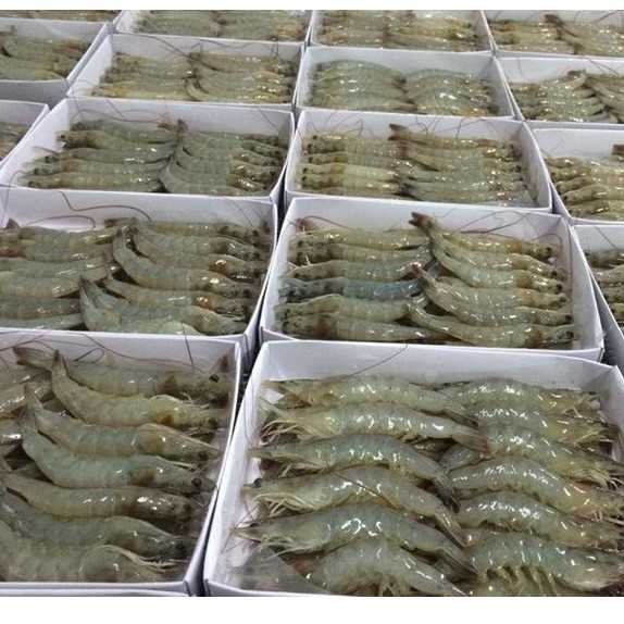 I want to buy shrimp
