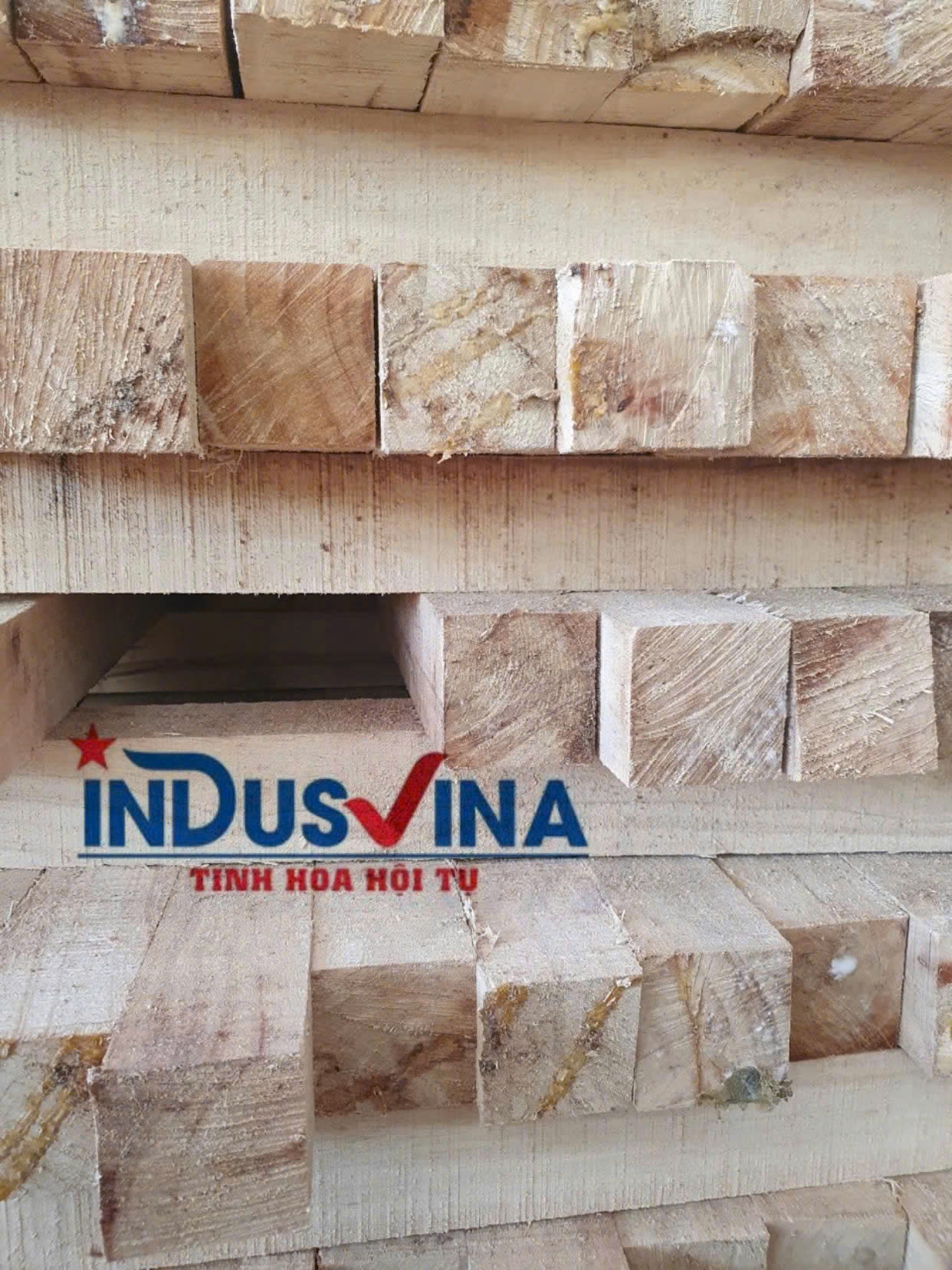 Cần tìm cước biển cho hàng gỗ xẻ