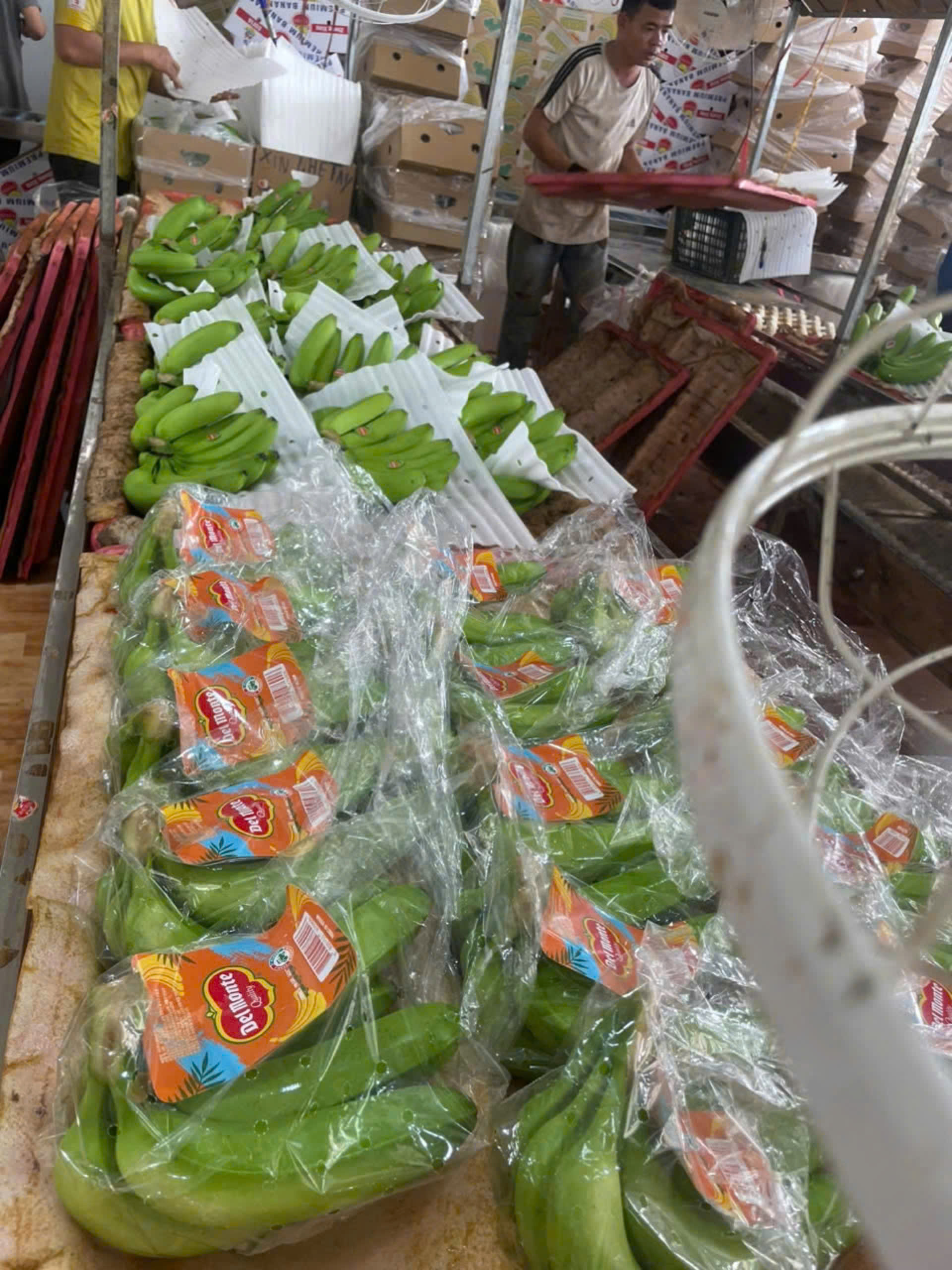 Cần tìm cước biển cho hàng chuối xanh