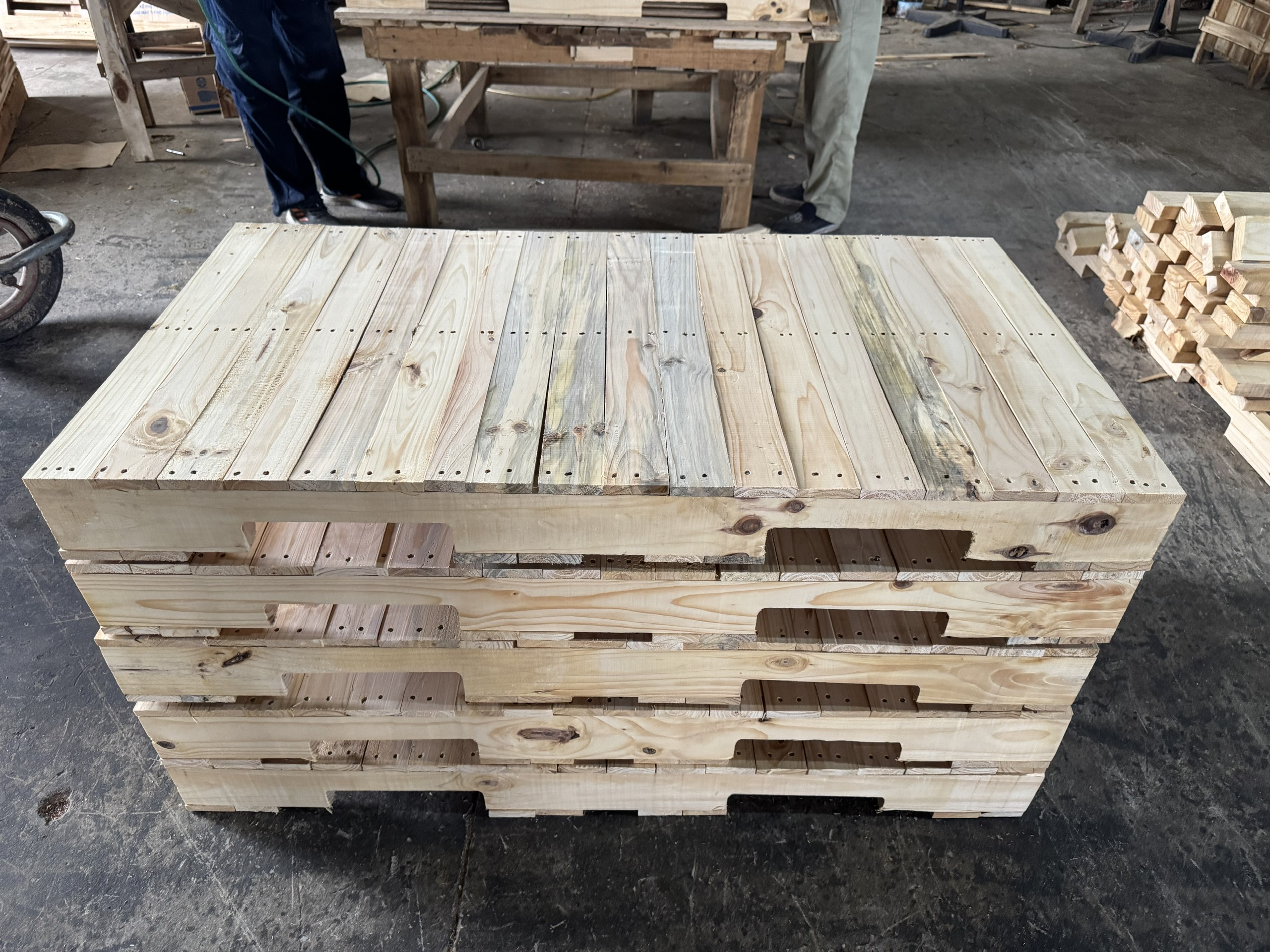 Tìm FWD cho đơn hàng gỗ dán, Pallet 