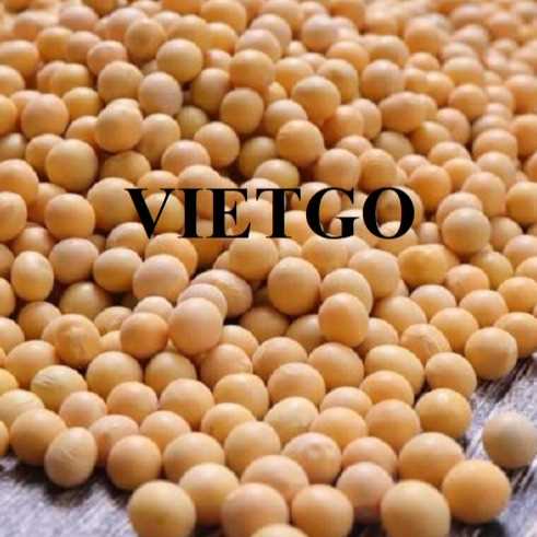 (Cập nhật thông tin liên hệ) Thương vụ xuất khẩu đậu nành sang thị trường Ả Rập Xê Út