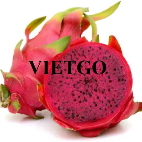 Cơ hội hợp tác xuất khẩu thanh long ruột đỏ đến thị trường Ấn Độ