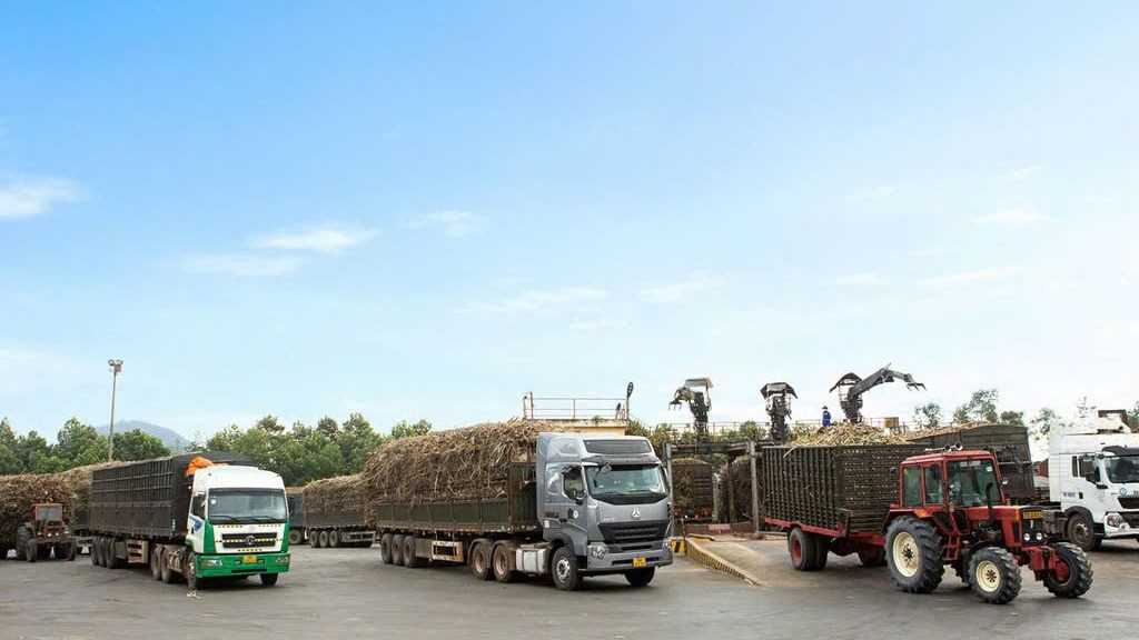 Cần tìm đơn vị vận tải sản phẩm Đường sang Trung Quốc