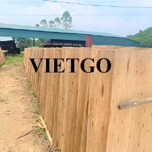 Thương vụ xuất khẩu ván bóc đến thị trường Ấn Độ