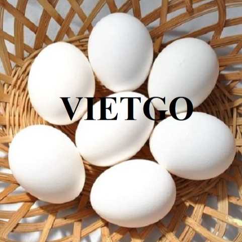 Cơ hội xuất khẩu trứng trắng sang thị trường UAE