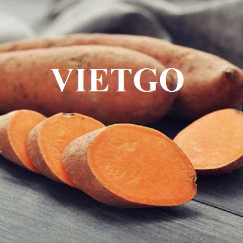 Cơ hội xuất khẩu khoai lang ruột cam sang thị trường Pháp