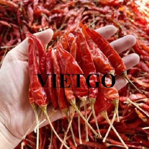 Cơ hội xuất khẩu ớt khô và ớt tươi sang thị trường Bangladesh