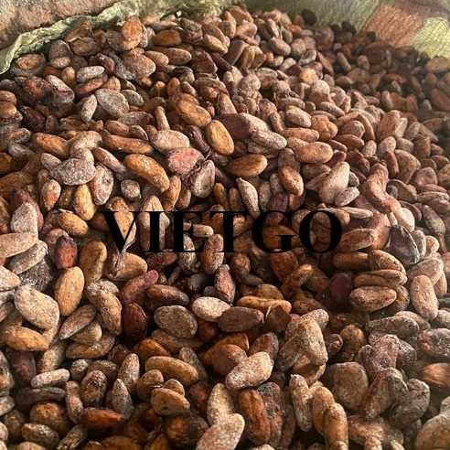 Cơ hội xuất khẩu hạt cacao sang Thổ Nhĩ Kỳ