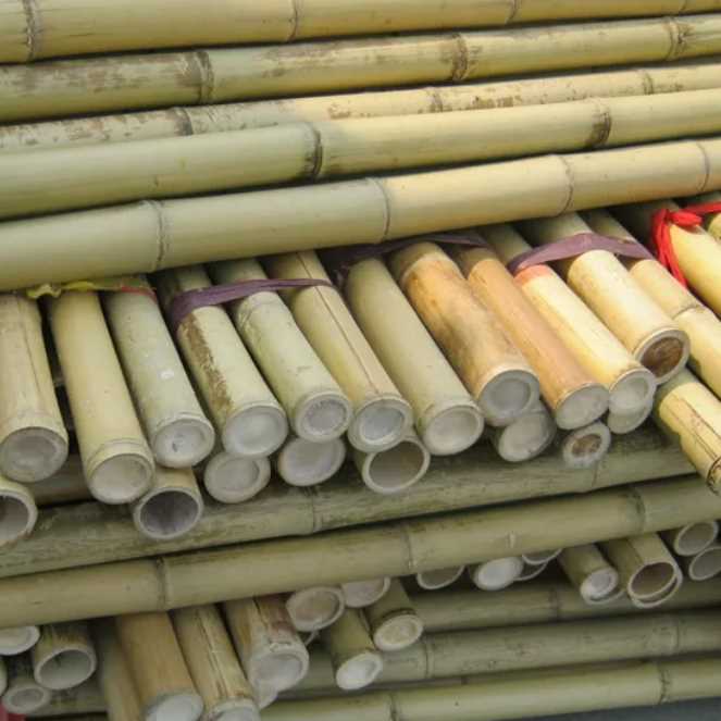 i want to buy bamboo pole