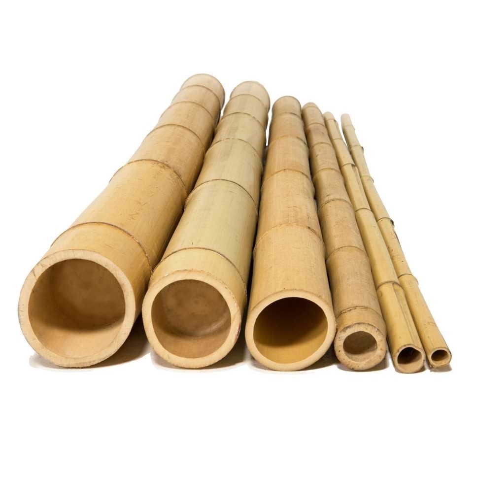 I need Bamboo Poles