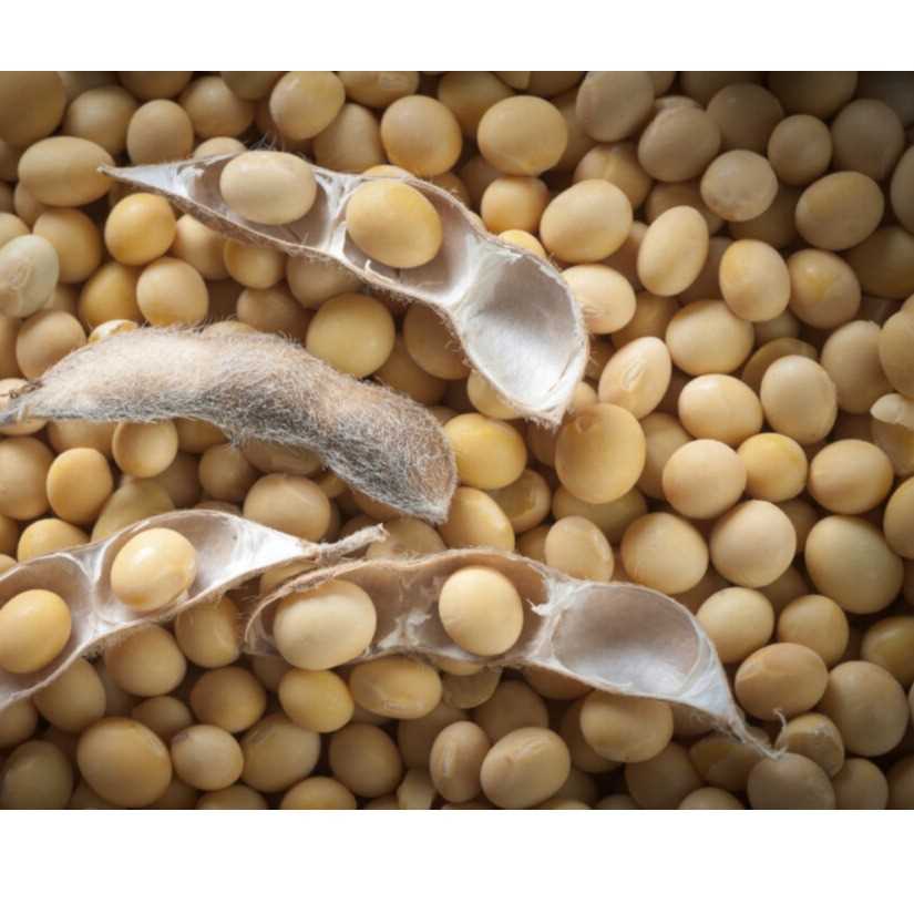 I wan to buy soybean