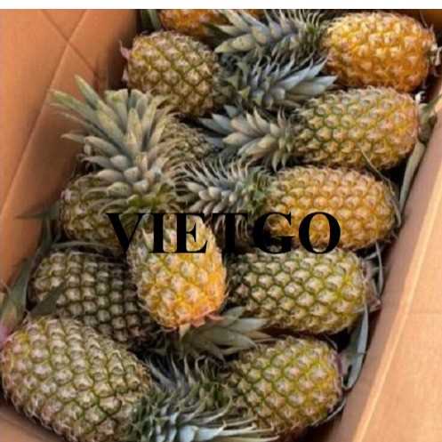 Cơ hội xuất khẩu dứa đến thị trường Ai Cập