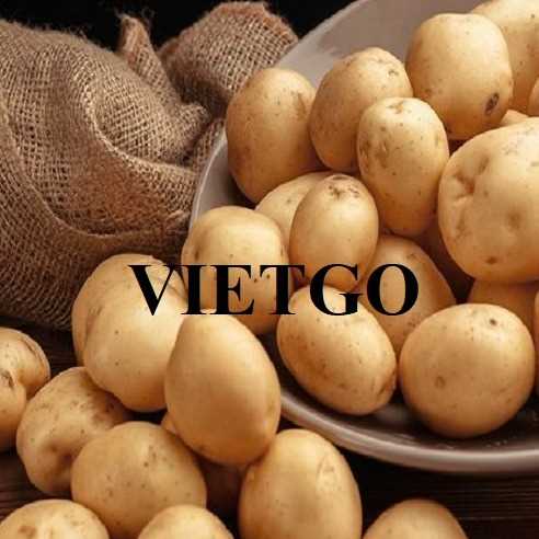 Cơ hội xuất khẩu khoai tây sang thị trường Philippines. 