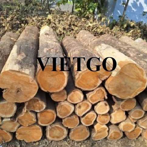 Cơ hội xuất khẩu gỗ teak tròn sang thị trường Ấn Độ
