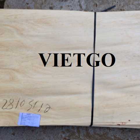 Thương vụ xuất khẩu ván bóc cao su và bạch đàn sang thị trường Ấn Độ 