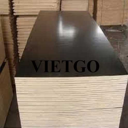 Thương vụ xuất khẩu gỗ dán phủ phim sang thị trường Ấn Độ