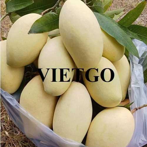 Cơ hội xuất khẩu xoài keo vàng sang thị trường Hàn Quốc
