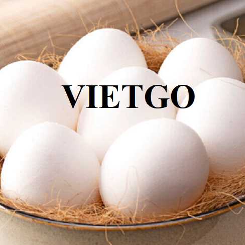 Cơ hội hợp tác xuất khẩu trứng đến thị trường Ả Rập Xê Út 