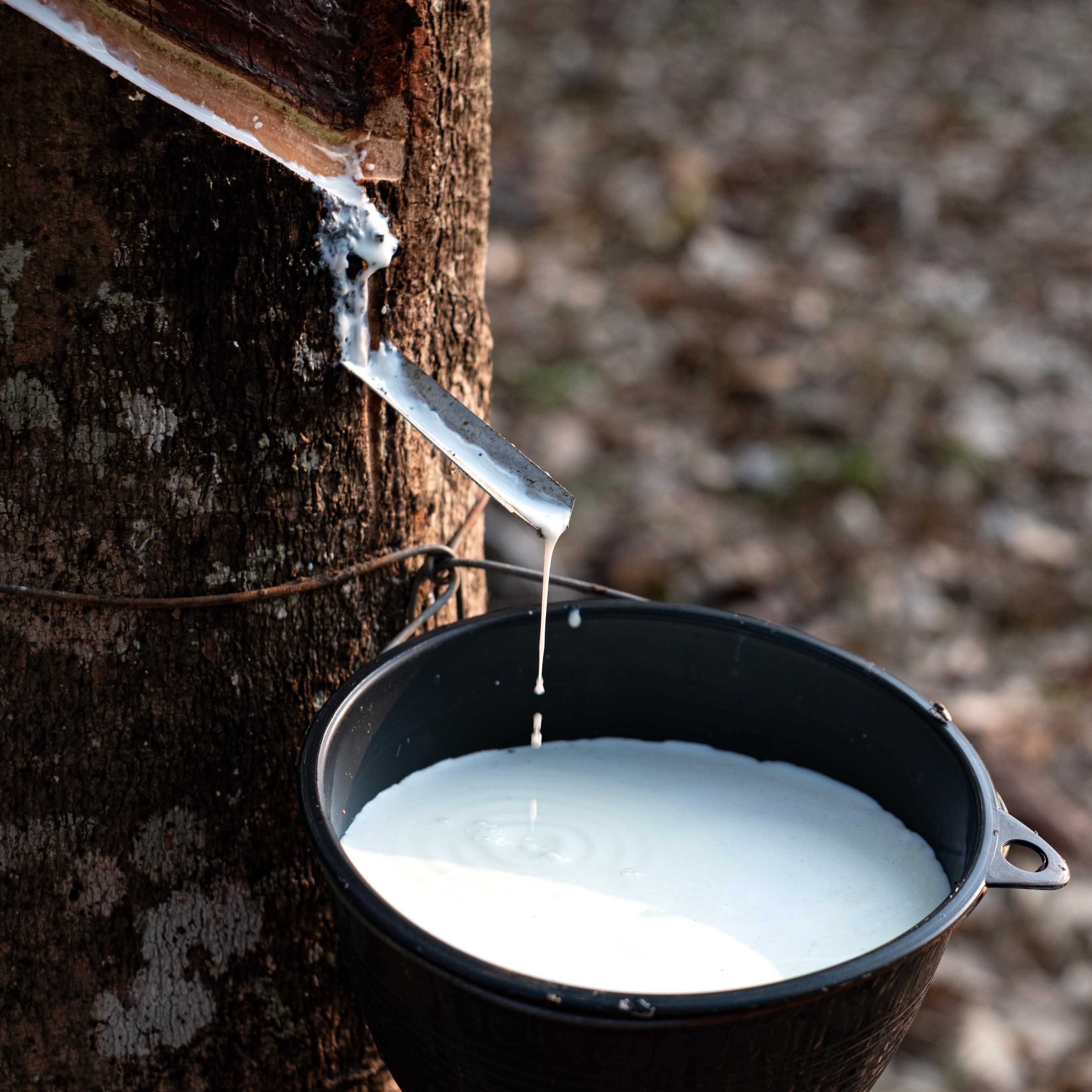 I need Natural Rubber Latex 60%