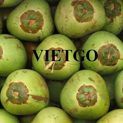 Cơ hội xuất khẩu dừa tươi sang thị trường Malaysia