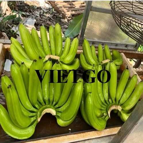 Cơ hội xuất khẩu chuối đến thị trường UAE