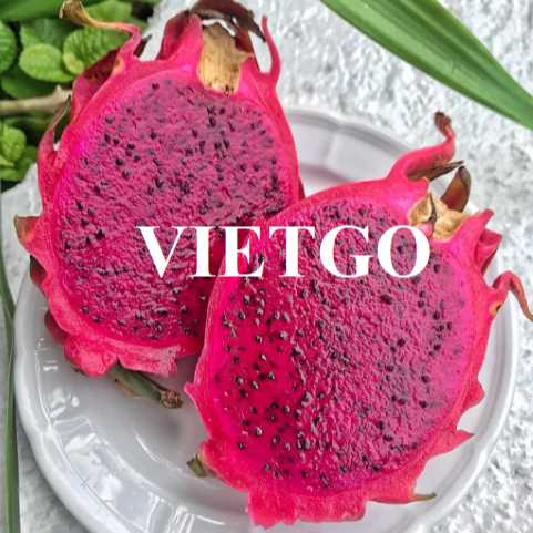 (Gấp) Cơ hội hợp tác xuất khẩu thanh long đến thị trường Mỹ  