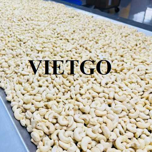 Cơ hội hợp tác xuất khẩu hạt điều đến thị trường Bangladesh