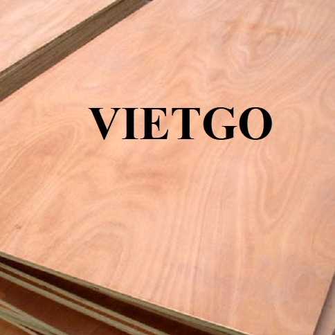 Thương vụ xuất khẩu gỗ dán sang thị trường Ấn Độ