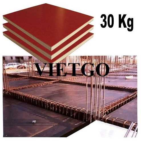 Thương vụ xuất khẩu gỗ dán phủ phim sang thị trường Ấn Độ