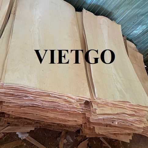 Thương vụ xuất khẩu ván bóc cao su sang thị trường Ấn Độ