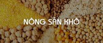 Cần tìm đơn vị vận chuyển nông sản khô đến Mundra