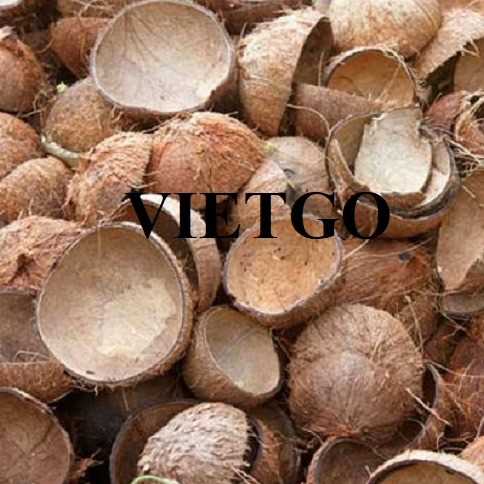 (GẤP) Thương vụ xuất khẩu gáo dừa khô sang thị trường Uzbekistan