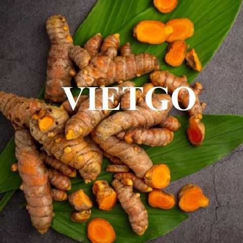 Cơ tác xuất khẩu nghệ tươi sang thị trường Indonesia