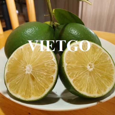 Cơ hội hợp tác xuất khẩu chanh đến thị trường Oman và UAE 
