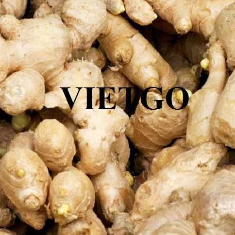 Cơ hội hợp tác xuất khẩu sản phẩm gừng tươi đến thị trường Bangladesh