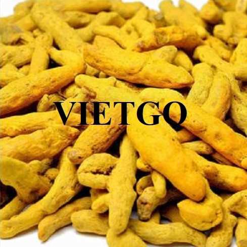 Cơ hội giao thương xuất khẩu nghệ khô sang thị trường Iran