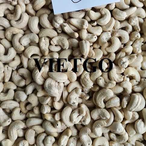 Cơ hội xuất khẩu hạt điều w320 sang thị trường Tây Ban Nha