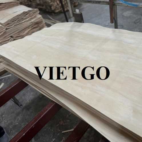Thương vụ xuất khẩu ván bóc cao su sang thị trường Ấn Độ