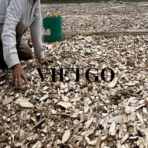 (Gấp) Cơ hội hợp tác xuất khẩu sắn lát đến thị trường Trung Quốc
