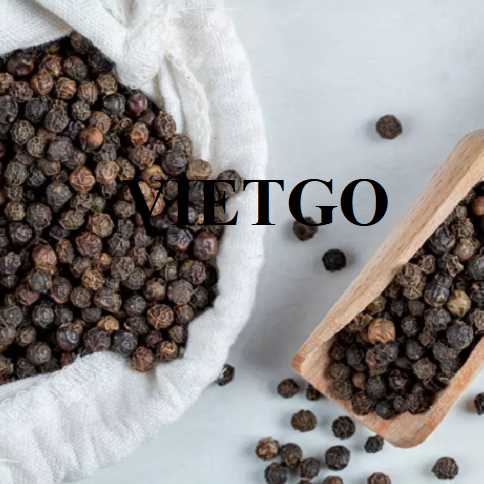 Cơ hội hợp tác xuất khẩu hạt tiêu đến thị trường Ai Cập 