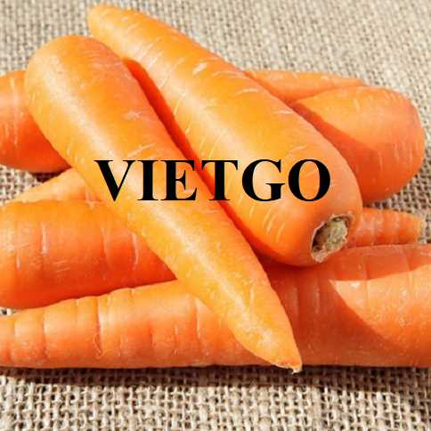 Cơ hội hợp tác xuất khẩu cà rốt đến thị trường Malaysia 