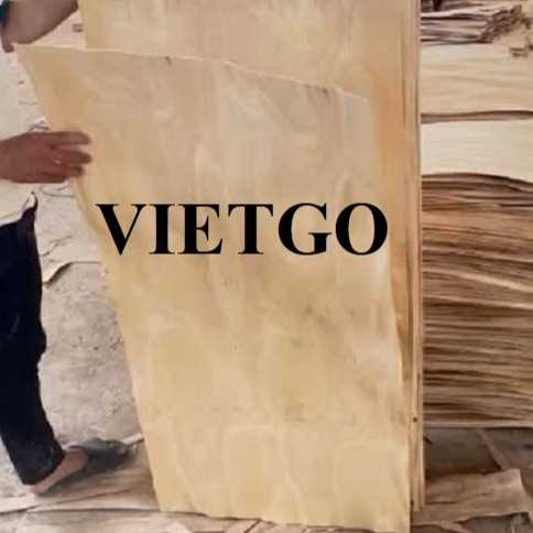 Thương vụ xuất khẩu ván bóc cao su đến thị trường Ấn Độ